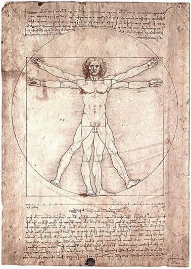 vitruvian