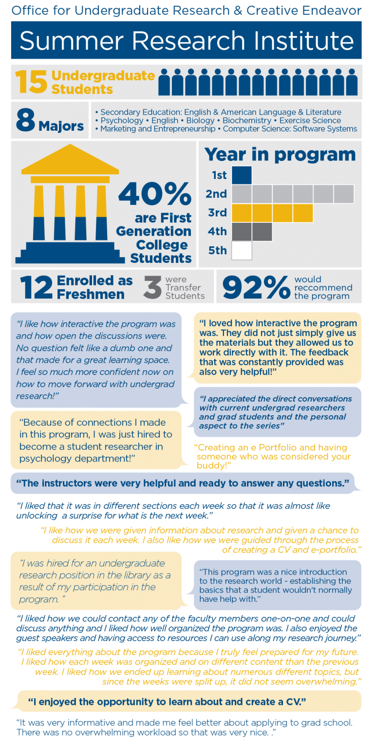 2020 Summer Learning Institute Infographic