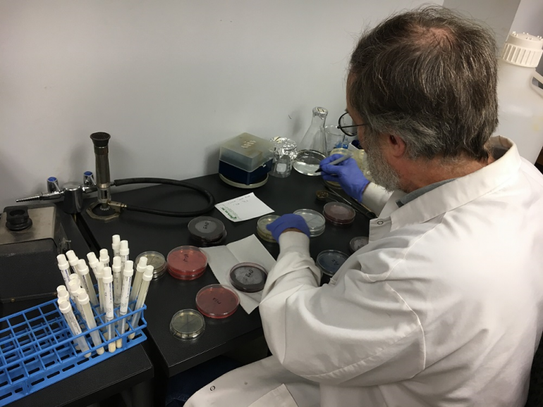 Dr. Henry Spratt studies bacteria