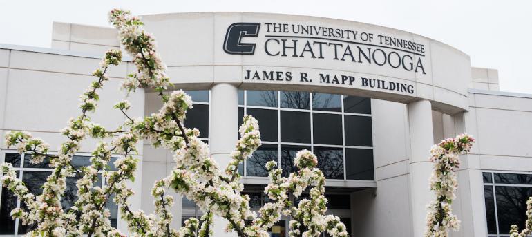 Mapp Building and flowered tree