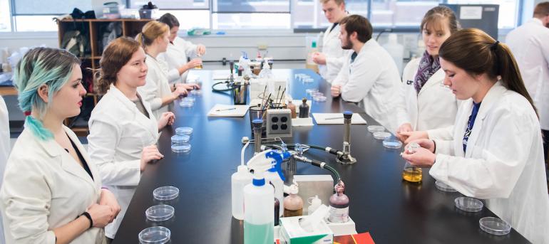 Microbiology Lab Microbiology class conducts an experiment