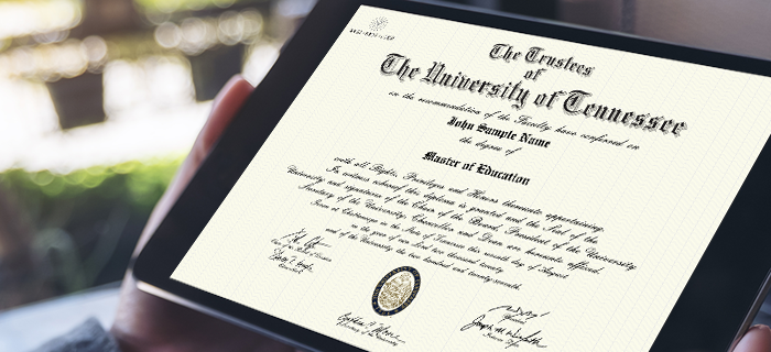 CeDiploma Header CeDiploma Header