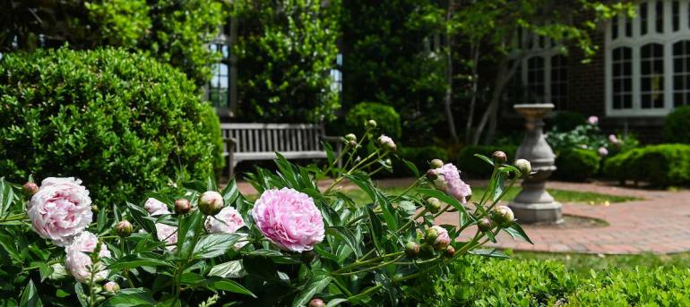 Shakespeare Garden Header