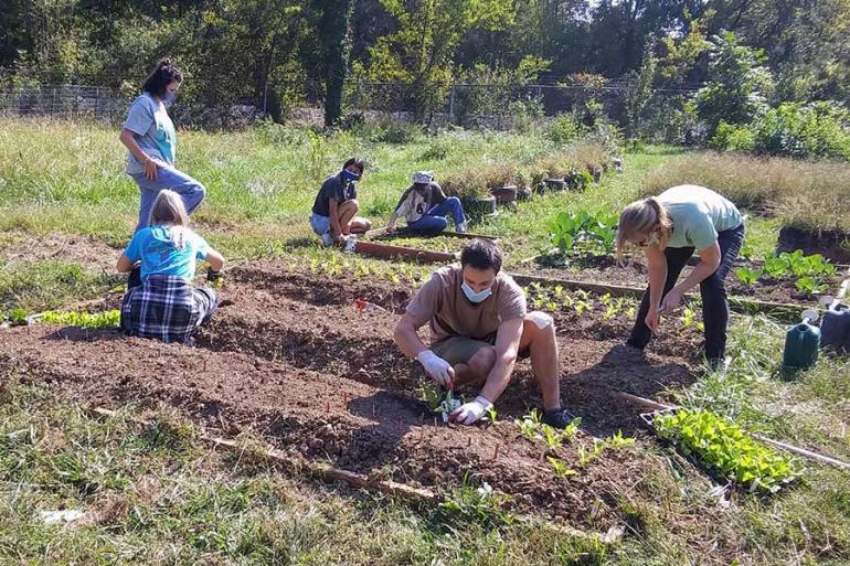 Dr. Lucy Schultz Matching-Grant project