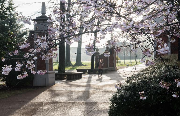 First Day of Spring Campus Floral