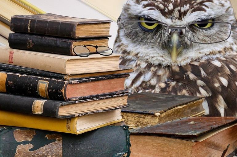 owl and books