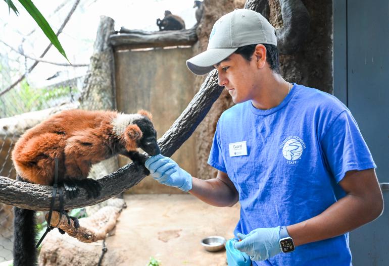 aquarium interns