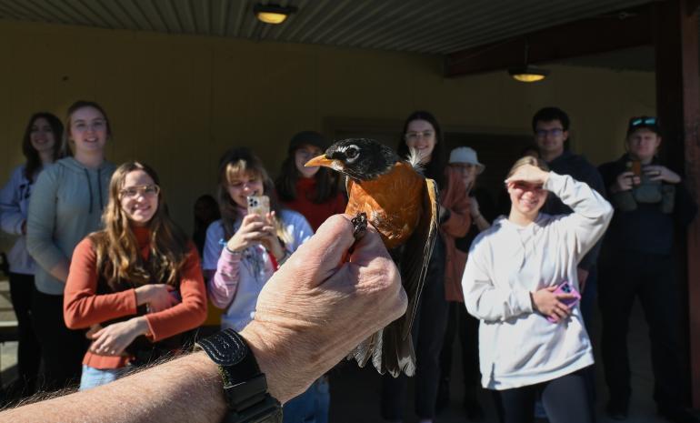 ornithology lab 2