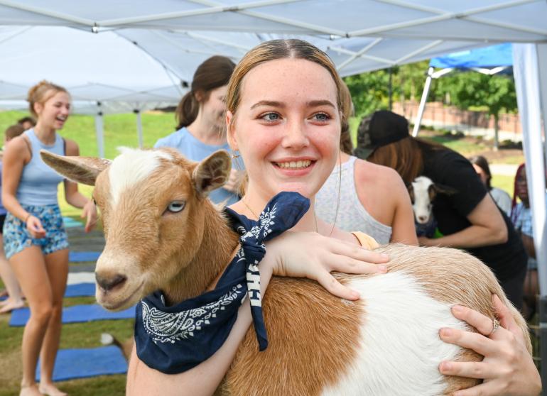 Students participating in goat yoga