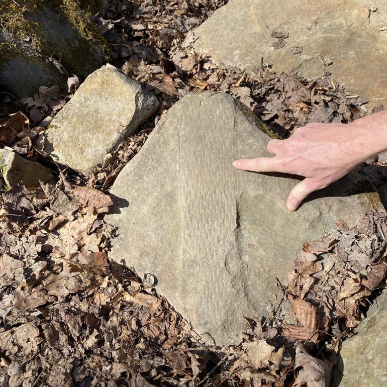 Photo of hand pointing to a rock with a fossil in it.