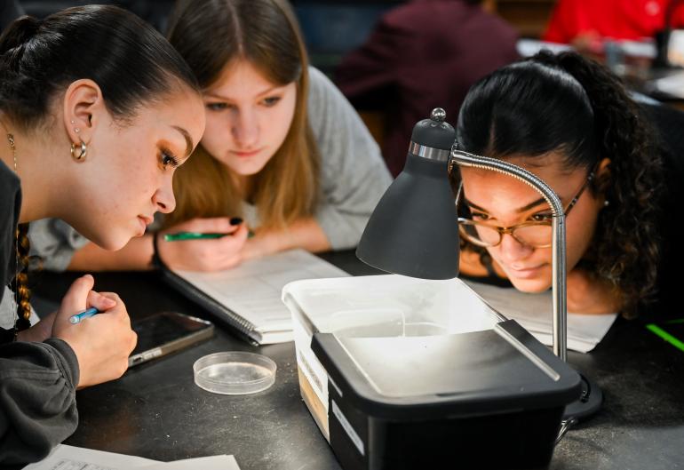 Three female UTC students looking at a biology specimen under a lamp