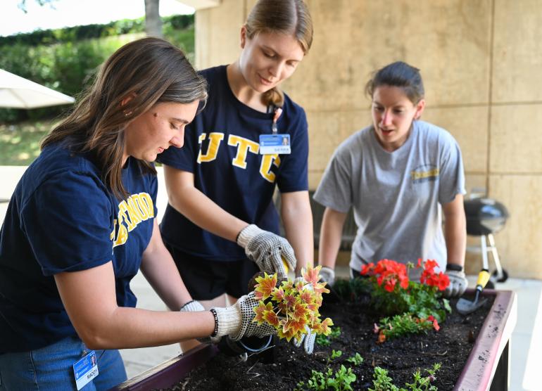 UTC OTD Garden Work