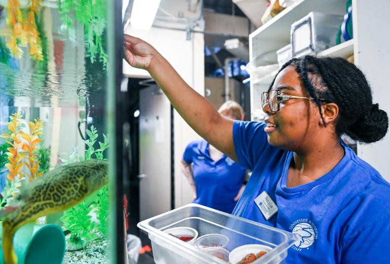 Interning at the Tennessee Aquarium Image of ESC student interning at the TN Aquarium