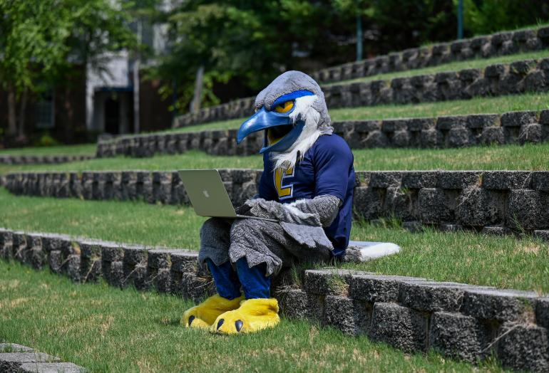 Scrappy working on campus 