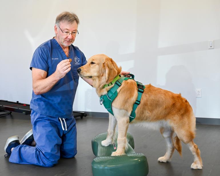 Physical Therapy Carousel 1