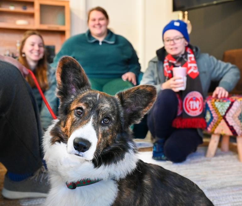 A brown‑and‑white dog sits inside with people relaxing in the background.