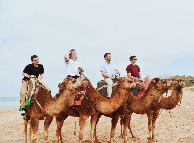 Students on Camels