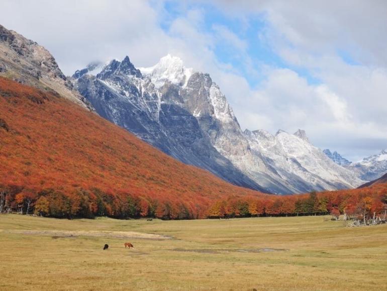 Patagonia