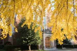 Campus Fall 2017 Campus fall of 2017