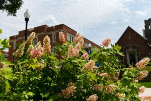 Spring Photo 1