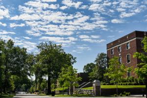 Spring Photo 3