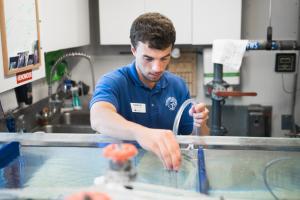UTC Student Internship UTC male student at the Tennessee Aquarium