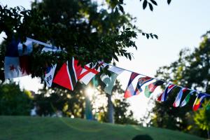 UTC study abroad program String of international flags hung up on UTC's campus