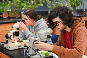 UTC degrees and programs UTC students in a plant taxonomy class