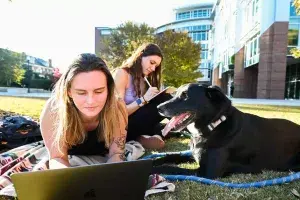 Students outdoors. Two female students studying outdoors with their pet dog onlooking.