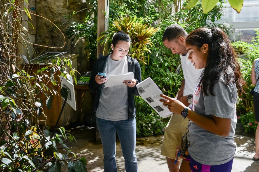 Sustainable Mocs TN Aquarium 2 Students studying butterflies at TN Aquarium
