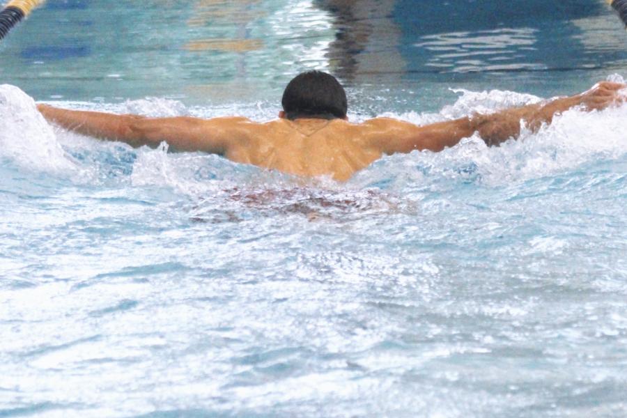 UTC Aquatics - Advanced Swim Clinics UTC Aquatics - Advanced Swim Clinics