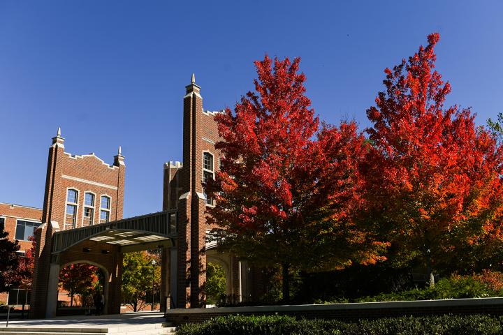 Chamberlain Pavilion with Fall Trees, 2021 Chamberlain Pavilion on a clear fall day, flanked by trees with bright red leaves